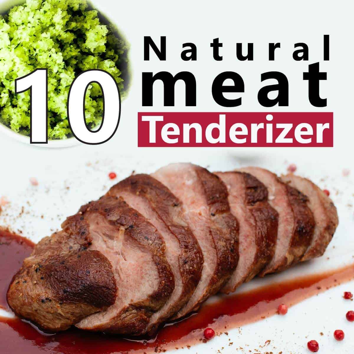 Best meat outlet marinade tenderizing